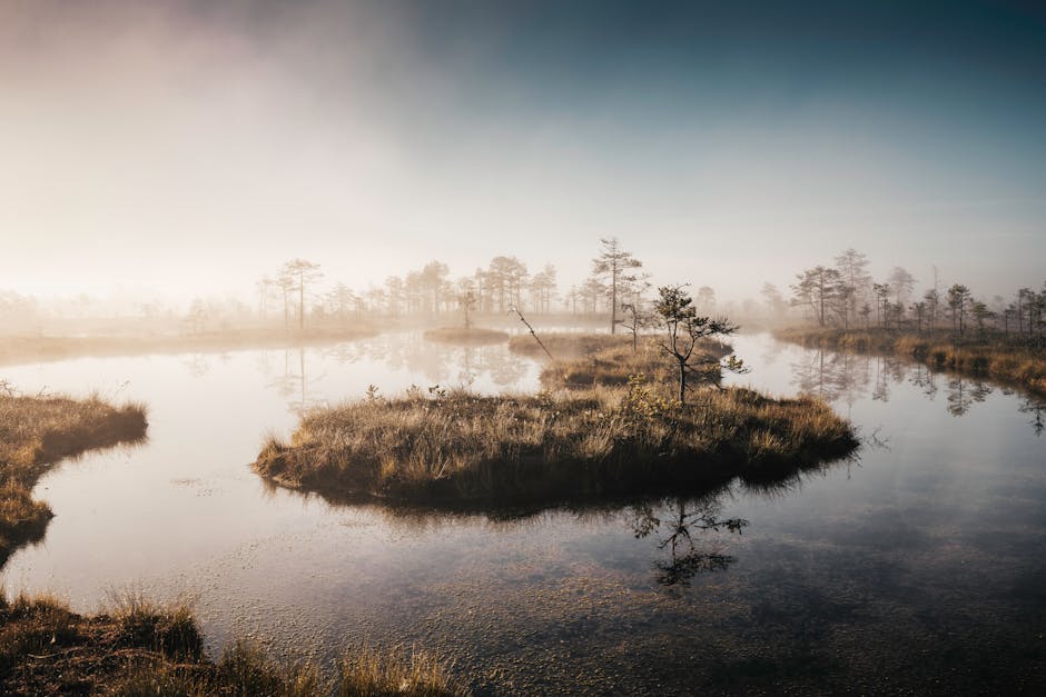 Free stock photo of kõnnu raba, paukjärve, paukjärve raba